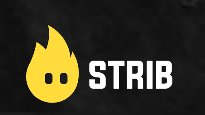 Logo Strib