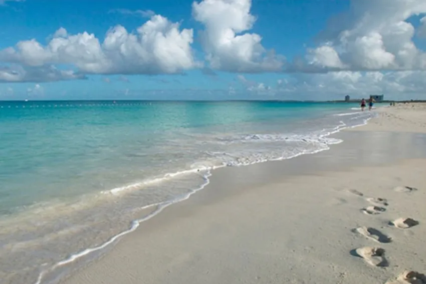 Orilla de la playa 'Eagle Beach' en Aruba