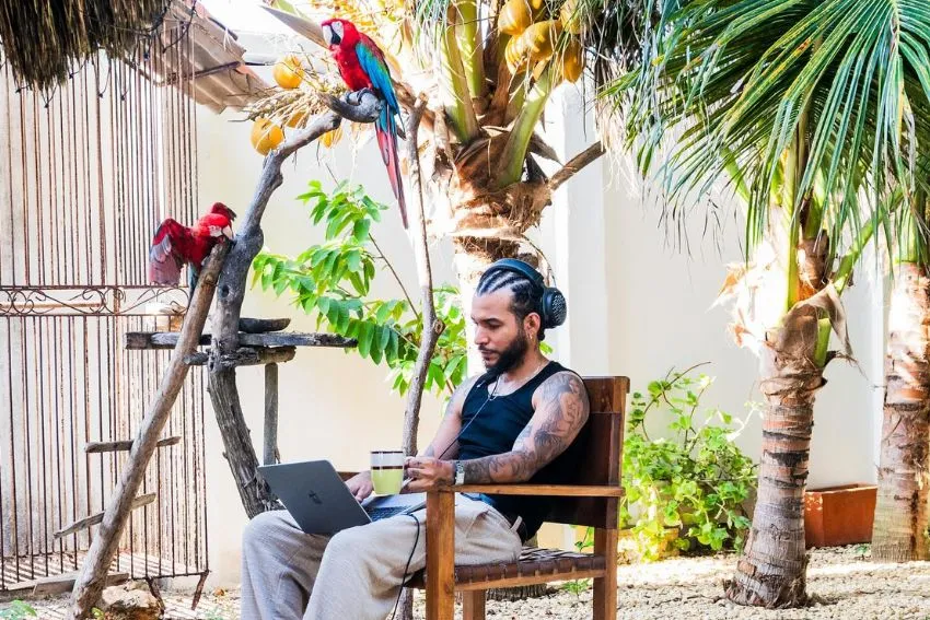 Gangsta sentado en un patio junto a dos guacamayas