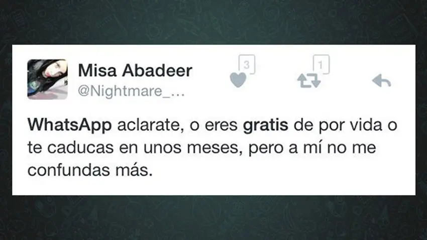 Usuaria confundida por las notificaciones de WhatsApp