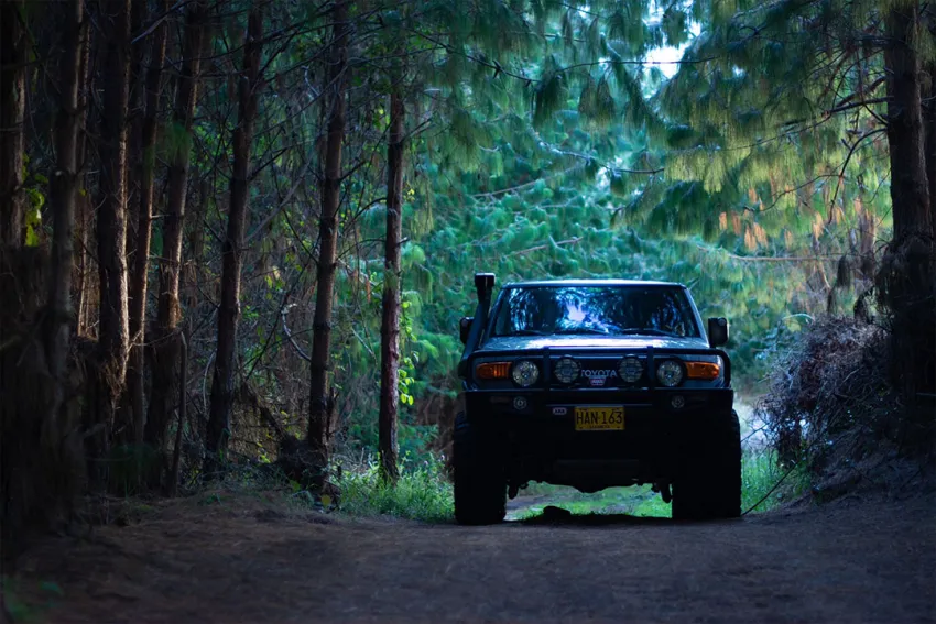 Toyota FJ Cruiser 4x4 cruzando un sendero boscoso