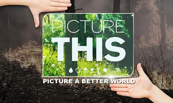 Picture This - Sony