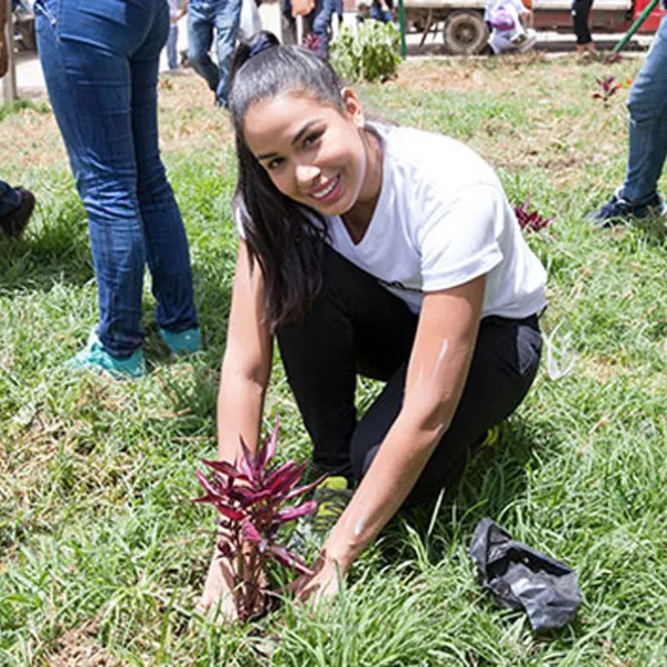 Actriz Marta Nieto sembrando un árbol