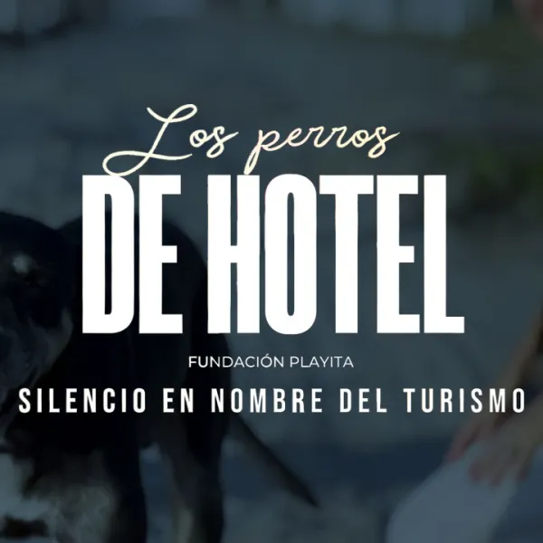 Los perros de hotel - Silencio en nombre del turismo - Fundación Playita