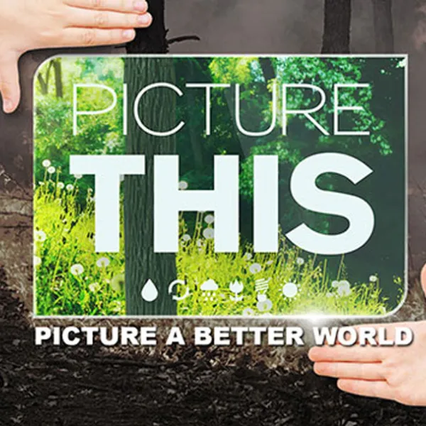 Picture This - Sony