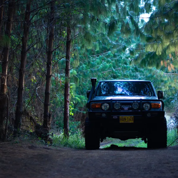 Toyota FJ Cruiser 4x4 cruzando un sendero boscoso