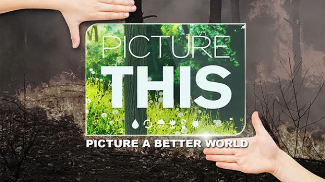 Dos manos encuadrando la imagen de un bosque, con el texto PICTURE THIS, Picture a Better World
